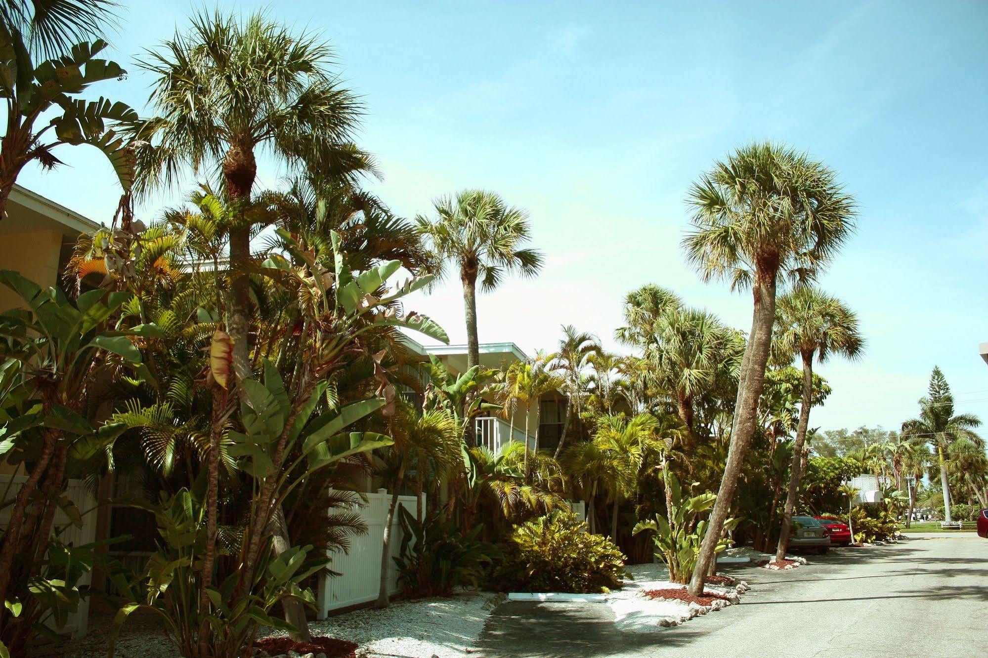 Coquina On The Beach Lido Key  Kültér fotó
